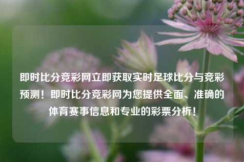 即时比分竞彩网立即获取实时足球比分与竞彩预测！即时比分竞彩网为您提供全面、准确的体育赛事信息和专业的彩票分析！
