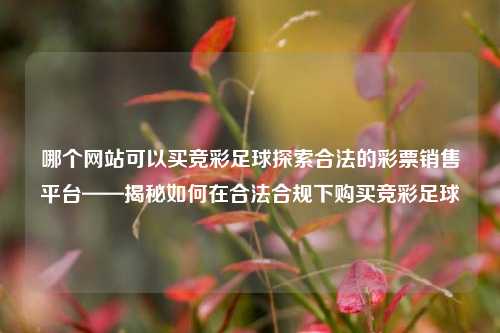 哪个网站可以买竞彩足球探索合法的彩票销售平台——揭秘如何在合法合规下购买竞彩足球