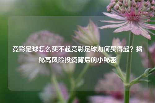 竞彩足球怎么买不起竞彩足球如何买得起？揭秘高风险投资背后的小秘密