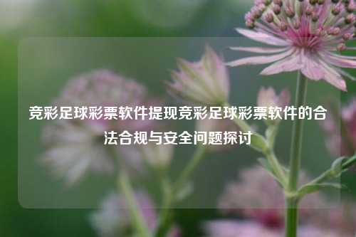 竞彩足球彩票软件提现竞彩足球彩票软件的合法合规与安全问题探讨