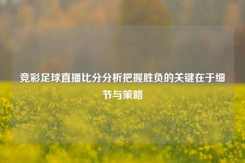 竞彩足球直播比分分析把握胜负的关键在于细节与策略