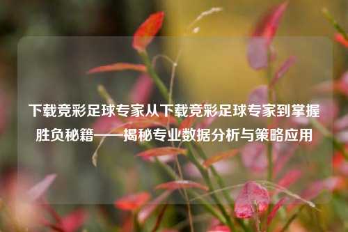 下载竞彩足球专家从下载竞彩足球专家到掌握胜负秘籍——揭秘专业数据分析与策略应用