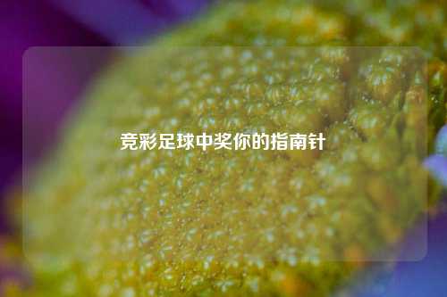 竞彩足球中奖你的指南针