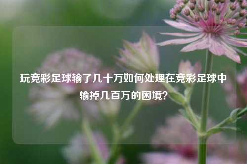 玩竞彩足球输了几十万如何处理在竞彩足球中输掉几百万的困境？