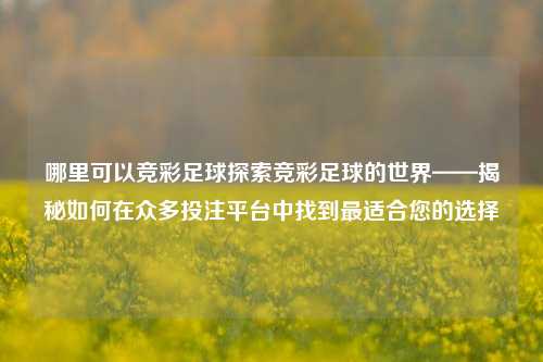 哪里可以竞彩足球探索竞彩足球的世界——揭秘如何在众多投注平台中找到最适合您的选择
