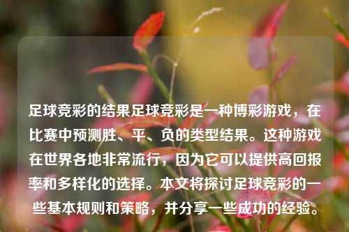 足球竞彩的结果足球竞彩是一种博彩游戏，在比赛中预测胜、平、负的类型结果。这种游戏在世界各地非常流行，因为它可以提供高回报率和多样化的选择。本文将探讨足球竞彩的一些基本规则和策略，并分享一些成功的经验。