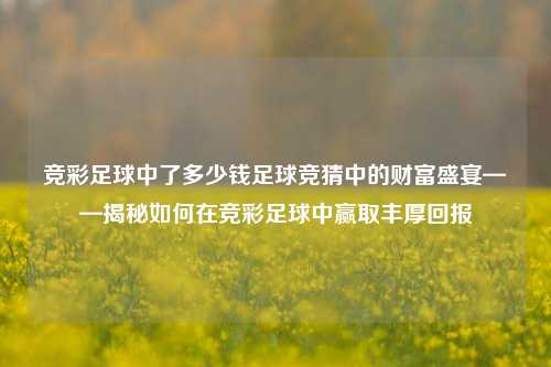 竞彩足球中了多少钱足球竞猜中的财富盛宴——揭秘如何在竞彩足球中赢取丰厚回报