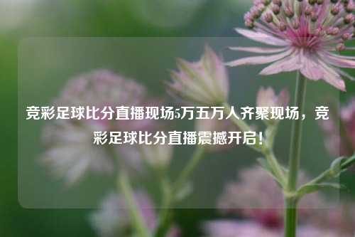 竞彩足球比分直播现场5万五万人齐聚现场，竞彩足球比分直播震撼开启！