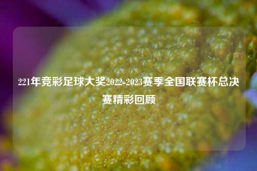 221年竞彩足球大奖2022-2023赛季全国联赛杯总决赛精彩回顾