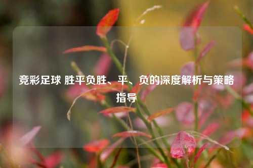 竞彩足球 胜平负胜、平、负的深度解析与策略指导