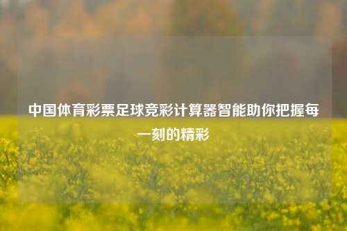 中国体育彩票足球竞彩计算器智能助你把握每一刻的精彩