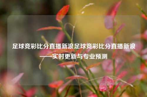 足球竞彩比分直播新浪足球竞彩比分直播新浪——实时更新与专业预测