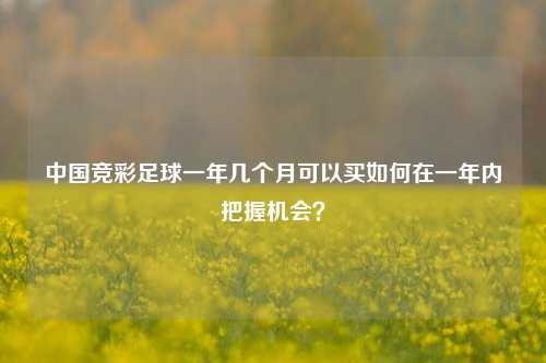 中国竞彩足球一年几个月可以买如何在一年内把握机会？