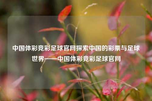 中国体彩竞彩足球官网探索中国的彩票与足球世界——中国体彩竞彩足球官网