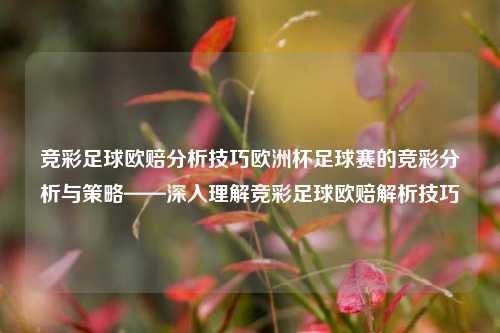 竞彩足球欧赔分析技巧欧洲杯足球赛的竞彩分析与策略——深入理解竞彩足球欧赔解析技巧