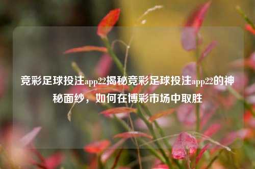 竞彩足球投注app22揭秘竞彩足球投注app22的神秘面纱，如何在博彩市场中取胜