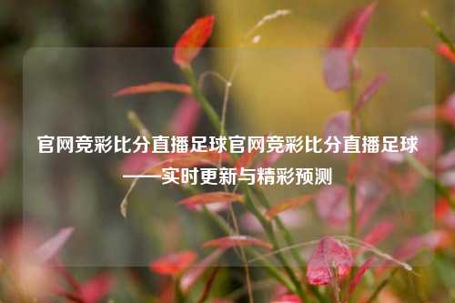 官网竞彩比分直播足球官网竞彩比分直播足球——实时更新与精彩预测