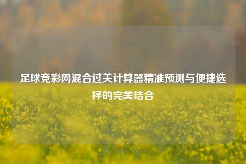 足球竞彩网混合过关计算器精准预测与便捷选择的完美结合