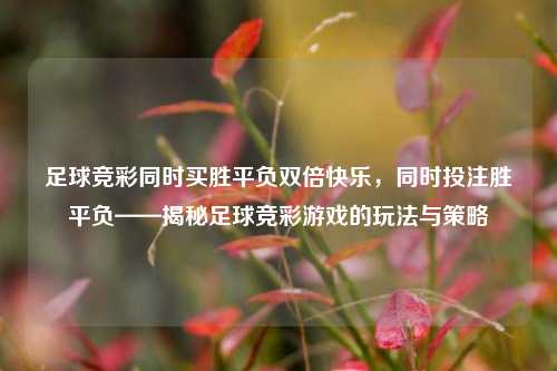 足球竞彩同时买胜平负双倍快乐，同时投注胜平负——揭秘足球竞彩游戏的玩法与策略