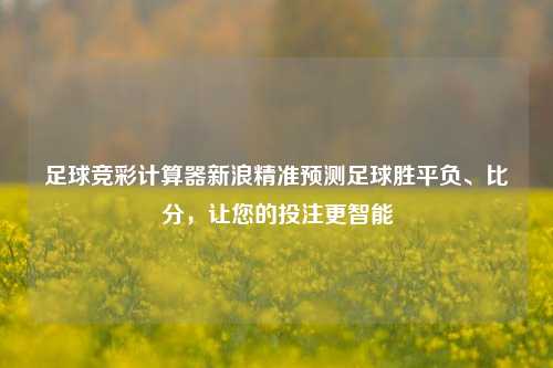 足球竞彩计算器新浪精准预测足球胜平负、比分，让您的投注更智能