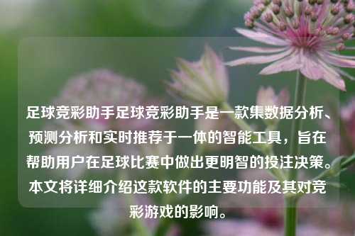 足球竞彩助手足球竞彩助手是一款集数据分析、预测分析和实时推荐于一体的智能工具，旨在帮助用户在足球比赛中做出更明智的投注决策。本文将详细介绍这款软件的主要功能及其对竞彩游戏的影响。