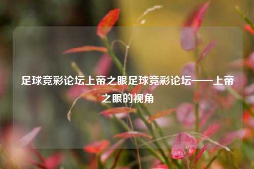 足球竞彩论坛上帝之眼足球竞彩论坛——上帝之眼的视角