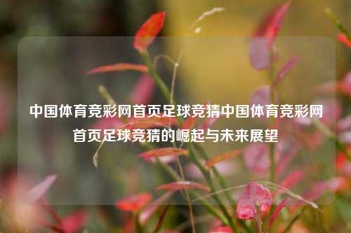 中国体育竞彩网首页足球竞猜中国体育竞彩网首页足球竞猜的崛起与未来展望