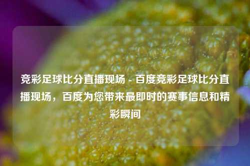 竞彩足球比分直播现场 - 百度竞彩足球比分直播现场，百度为您带来最即时的赛事信息和精彩瞬间