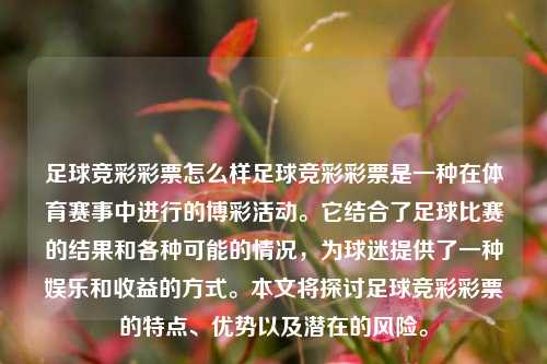 足球竞彩彩票怎么样足球竞彩彩票是一种在体育赛事中进行的博彩活动。它结合了足球比赛的结果和各种可能的情况，为球迷提供了一种娱乐和收益的方式。本文将探讨足球竞彩彩票的特点、优势以及潜在的风险。