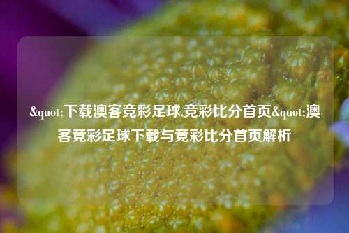 "下载澳客竞彩足球,竞彩比分首页"澳客竞彩足球下载与竞彩比分首页解析