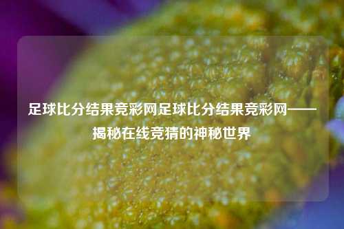 足球比分结果竞彩网足球比分结果竞彩网——揭秘在线竞猜的神秘世界