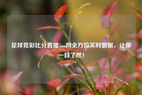 足球竞彩比分直播5oo网全方位实时数据，让你一目了然！