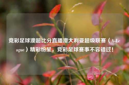竞彩足球澳超比分直播澳大利亚超级联赛（A-League）精彩纷呈，竞彩足球赛事不容错过！