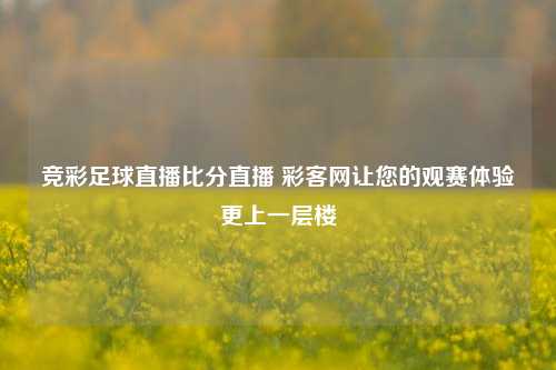 竞彩足球直播比分直播 彩客网让您的观赛体验更上一层楼