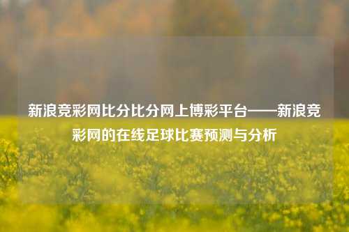 新浪竞彩网比分比分网上博彩平台——新浪竞彩网的在线足球比赛预测与分析