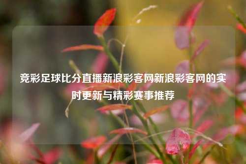 竞彩足球比分直播新浪彩客网新浪彩客网的实时更新与精彩赛事推荐