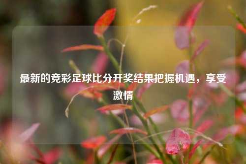 最新的竞彩足球比分开奖结果把握机遇，享受激情