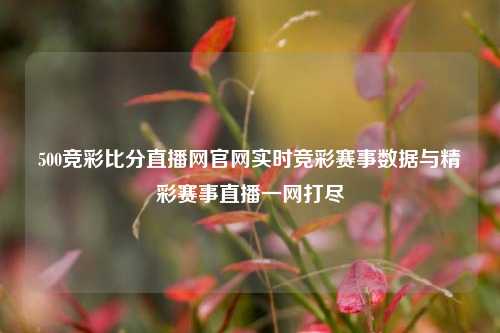 500竞彩比分直播网官网实时竞彩赛事数据与精彩赛事直播一网打尽