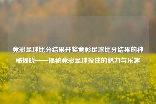 竞彩足球比分结果开奖竞彩足球比分结果的神秘揭晓——揭秘竞彩足球投注的魅力与乐趣