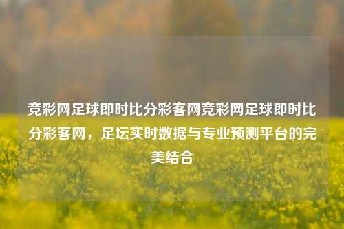 竞彩网足球即时比分彩客网竞彩网足球即时比分彩客网，足坛实时数据与专业预测平台的完美结合