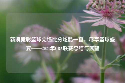 新浪竞彩篮球完场比分炫酷一夏，尽享篮球盛宴——2024年CBA联赛总结与展望