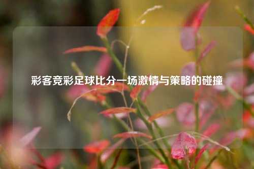 彩客竞彩足球比分一场激情与策略的碰撞