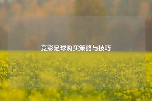 竞彩足球购买策略与技巧