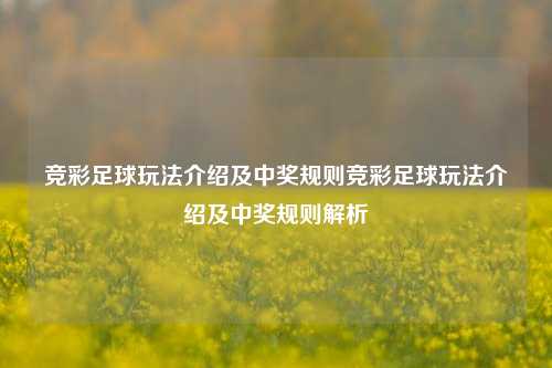 竞彩足球玩法介绍及中奖规则竞彩足球玩法介绍及中奖规则解析