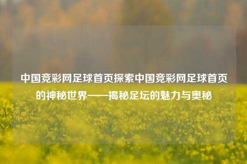 中国竞彩网足球首页探索中国竞彩网足球首页的神秘世界——揭秘足坛的魅力与奥秘