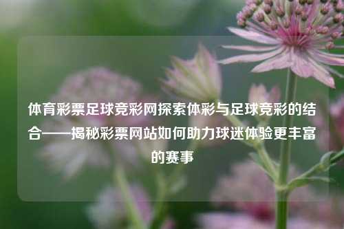 体育彩票足球竞彩网探索体彩与足球竞彩的结合——揭秘彩票网站如何助力球迷体验更丰富的赛事