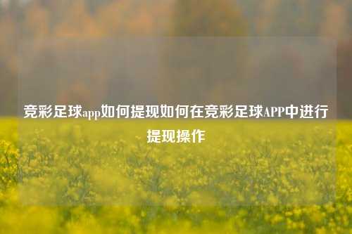 竞彩足球app如何提现如何在竞彩足球APP中进行提现操作