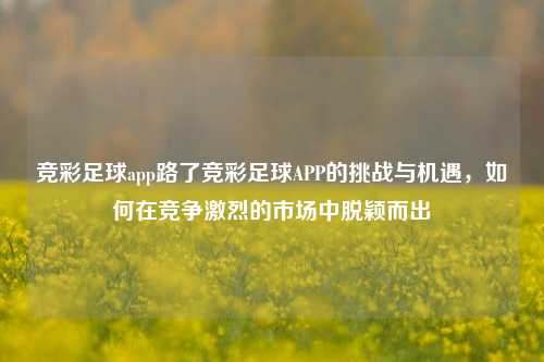 竞彩足球app路了竞彩足球APP的挑战与机遇，如何在竞争激烈的市场中脱颖而出