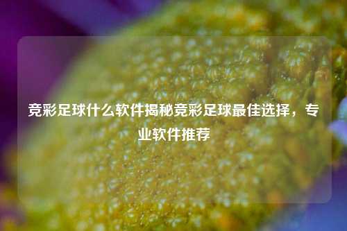 竞彩足球什么软件揭秘竞彩足球最佳选择，专业软件推荐