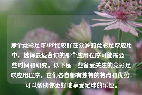 哪个竞彩足球APP比较好在众多的竞彩足球应用中，选择最适合你的那个应用程序可能需要一些时间和研究。以下是一些备受关注的竞彩足球应用程序，它们各自都有独特的特点和优势，可以帮助你更好地享受足球的乐趣。